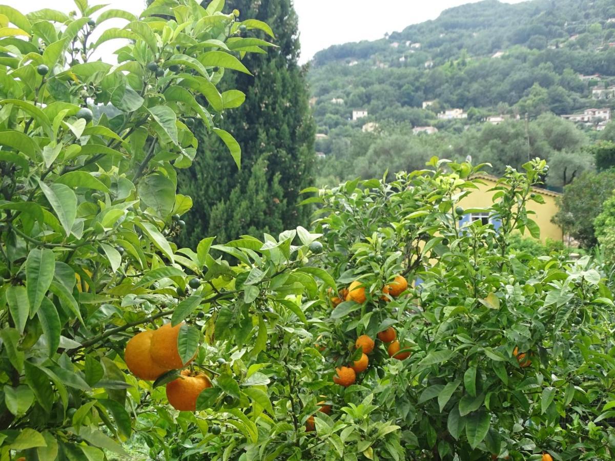 Luva D'Azur, Rez De Villa Le Riou - Le Vallon Le Bar-sur-Loup 外观 照片
