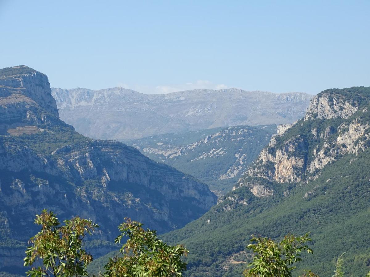 Luva D'Azur, Rez De Villa Le Riou - Le Vallon Le Bar-sur-Loup 外观 照片
