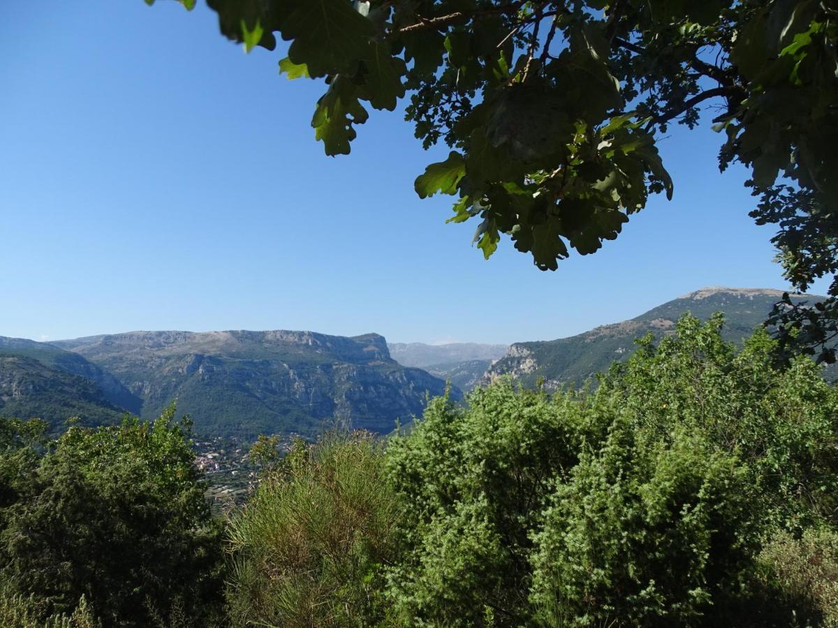 Luva D'Azur, Rez De Villa Le Riou - Le Vallon Le Bar-sur-Loup 外观 照片